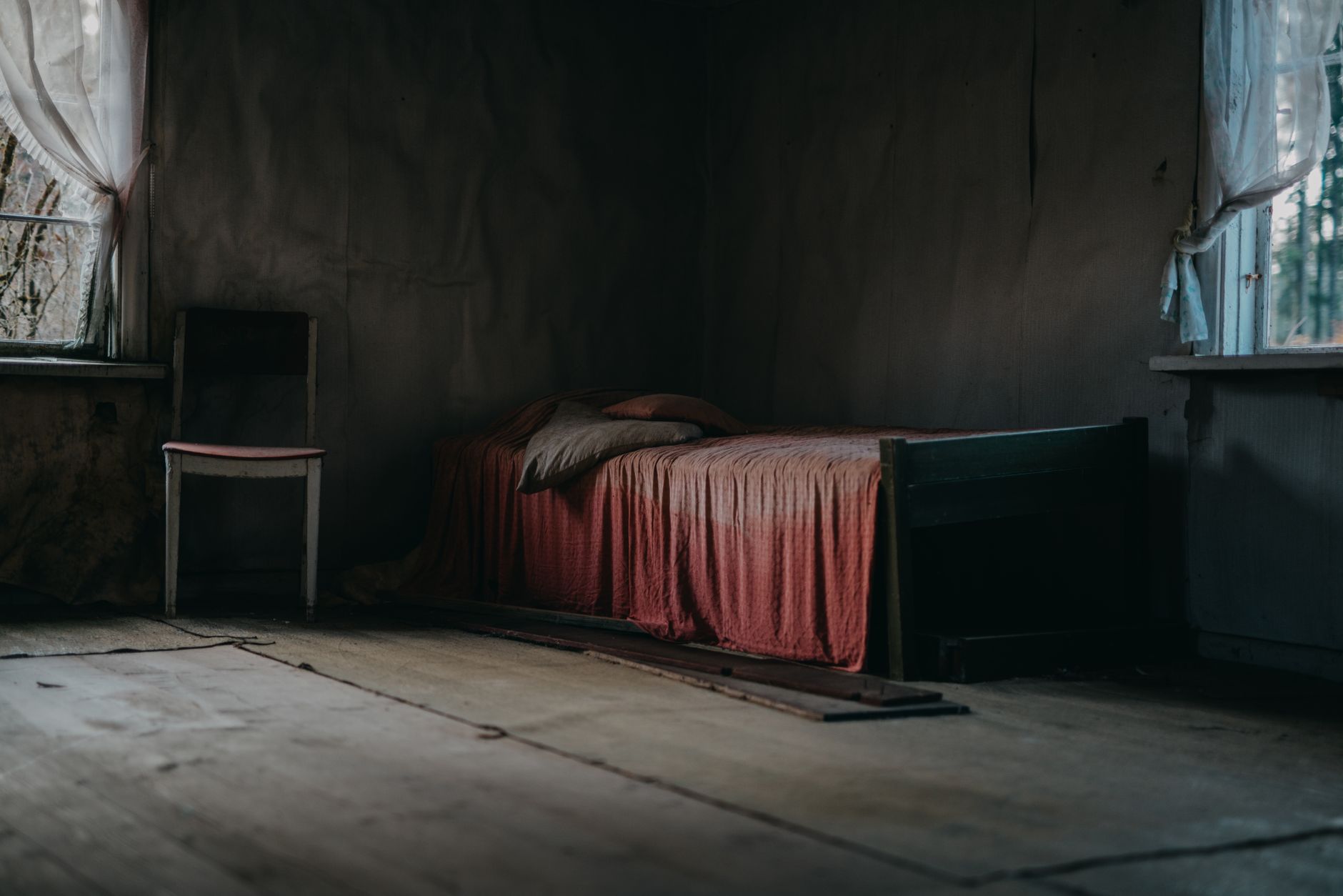 Traitement punaises de lit à Tournefeuille